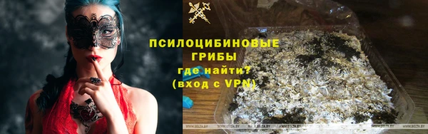 мяу мяу мука Аркадак