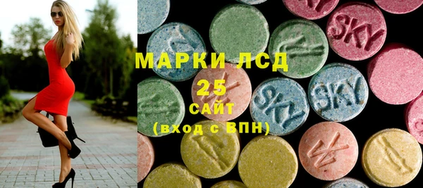 мяу мяу мука Аркадак
