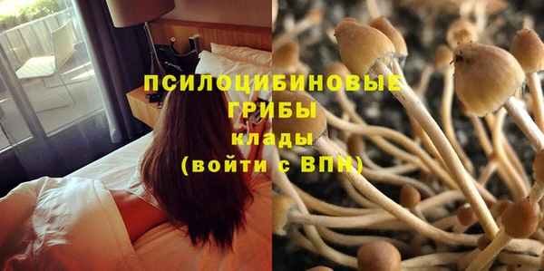 спиды Балахна