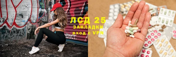 мяу мяу мука Арсеньев