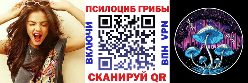 Галлюциногенные грибы Magic Shrooms  купить   Соль-Илецк 